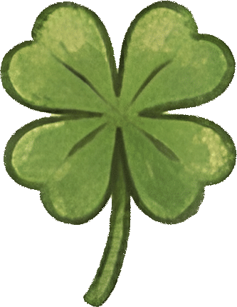 四叶草 (clover)